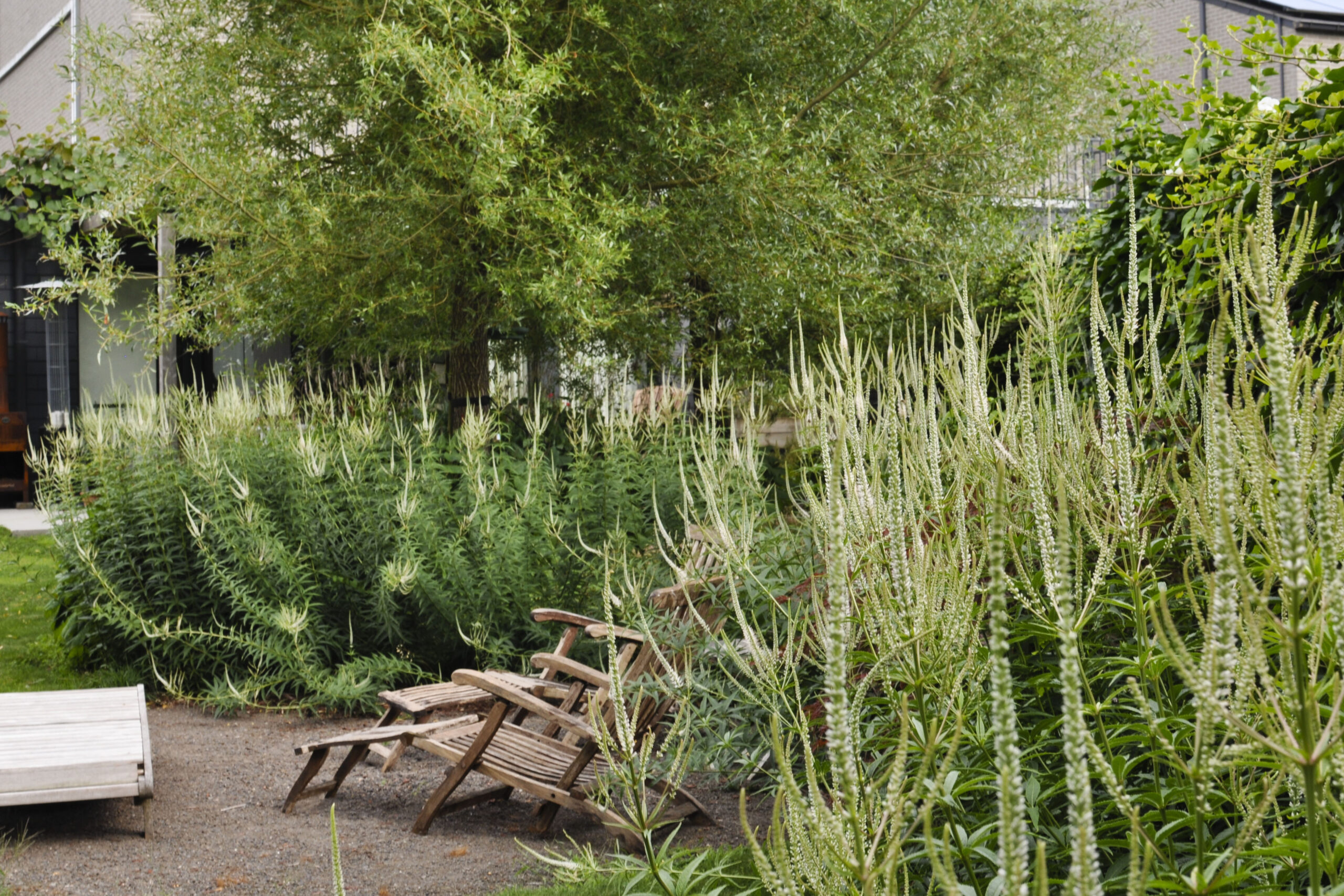 Lievehelp tuinontwerp – Bloemrijke natuurlijke gezinstuin te Mortsel Lievehelp tuinontwerp - Bloemrijke natuurlijke gezinstuin te Mortsel