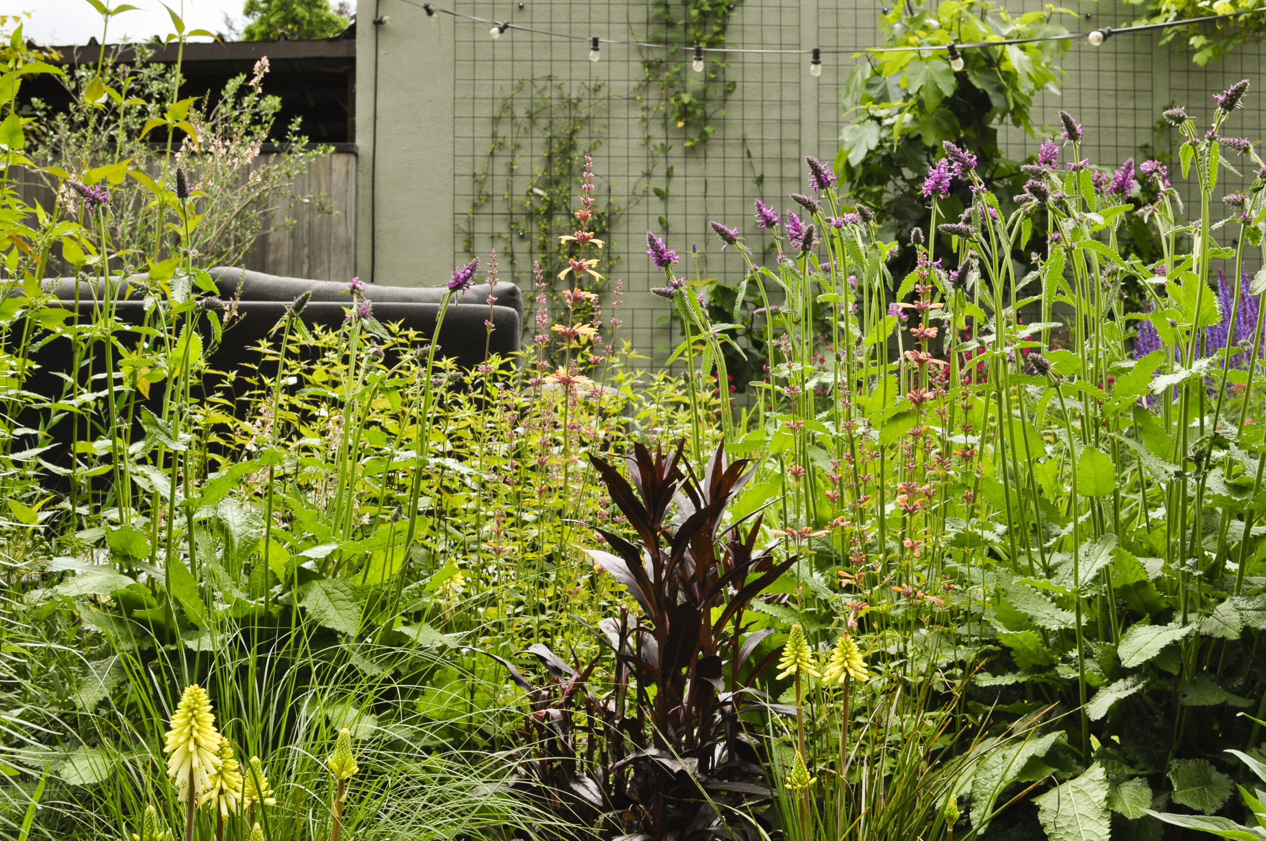 Lievehelp tuinontwerp – Natuurlijke bloemrijke tuin Mortsel Lievehelp tuinontwerp - Natuurlijke bloemrijke tuin Mortsel