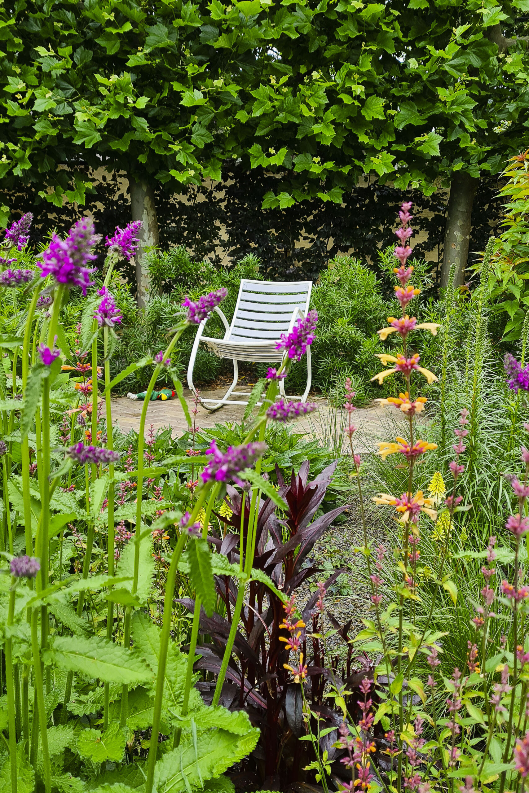 Lievehelp tuinontwerp – Natuurlijke bloemrijke tuin Mortsel Lievehelp tuinontwerp - Natuurlijke bloemrijke tuin Mortsel