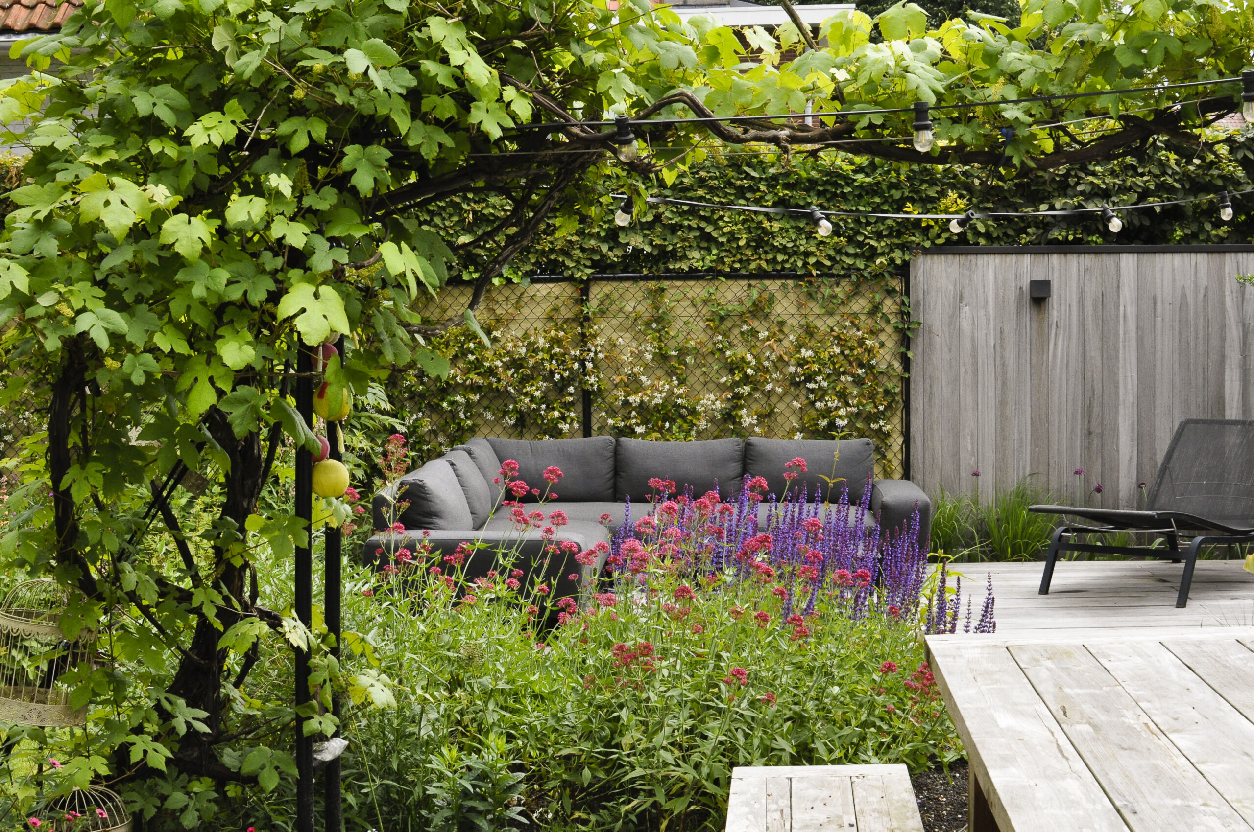 Lievehelp tuinontwerp – Natuurlijke bloemrijke tuin Mortsel Lievehelp tuinontwerp - Natuurlijke bloemrijke tuin Mortsel