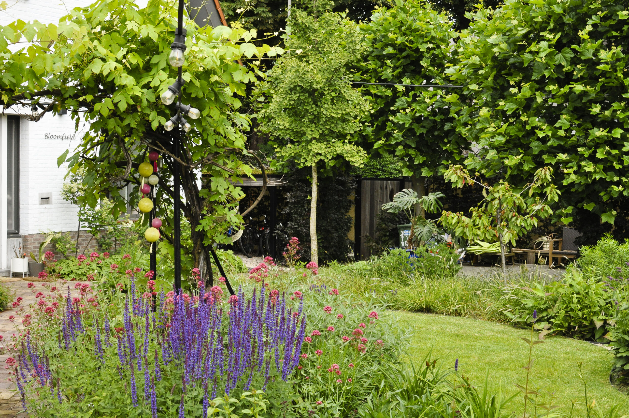 Lievehelp tuinontwerp – Natuurlijke bloemrijke tuin Mortsel Lievehelp tuinontwerp - Natuurlijke bloemrijke tuin Mortsel