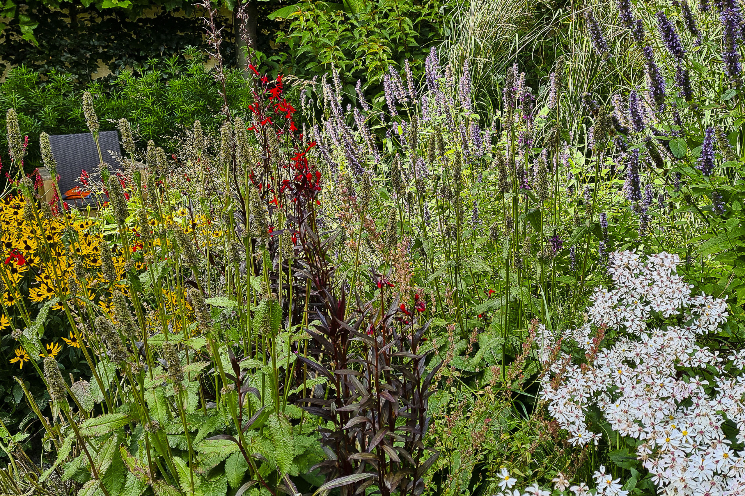 Lievehelp tuinontwerp - Natuurlijke bloemrijke tuin Mortsel