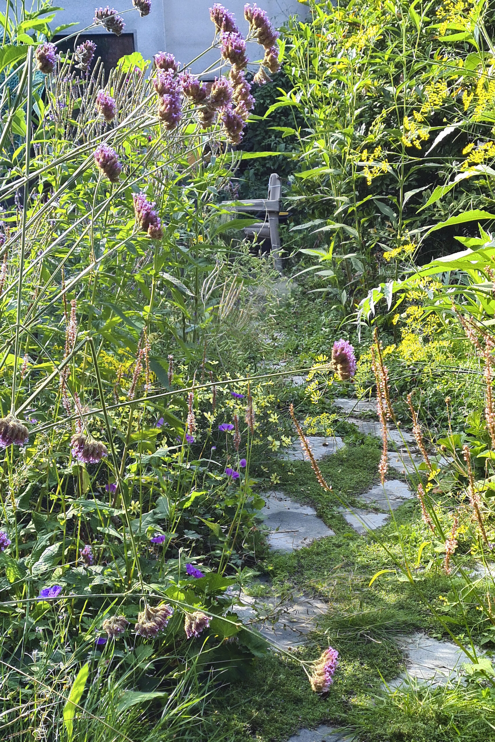 Lievehelp tuinontwerp – Biodiverse, wilde stadstuin te Berchem Lievehelp tuinontwerp - Biodiverse, wilde stadstuin te Berchem