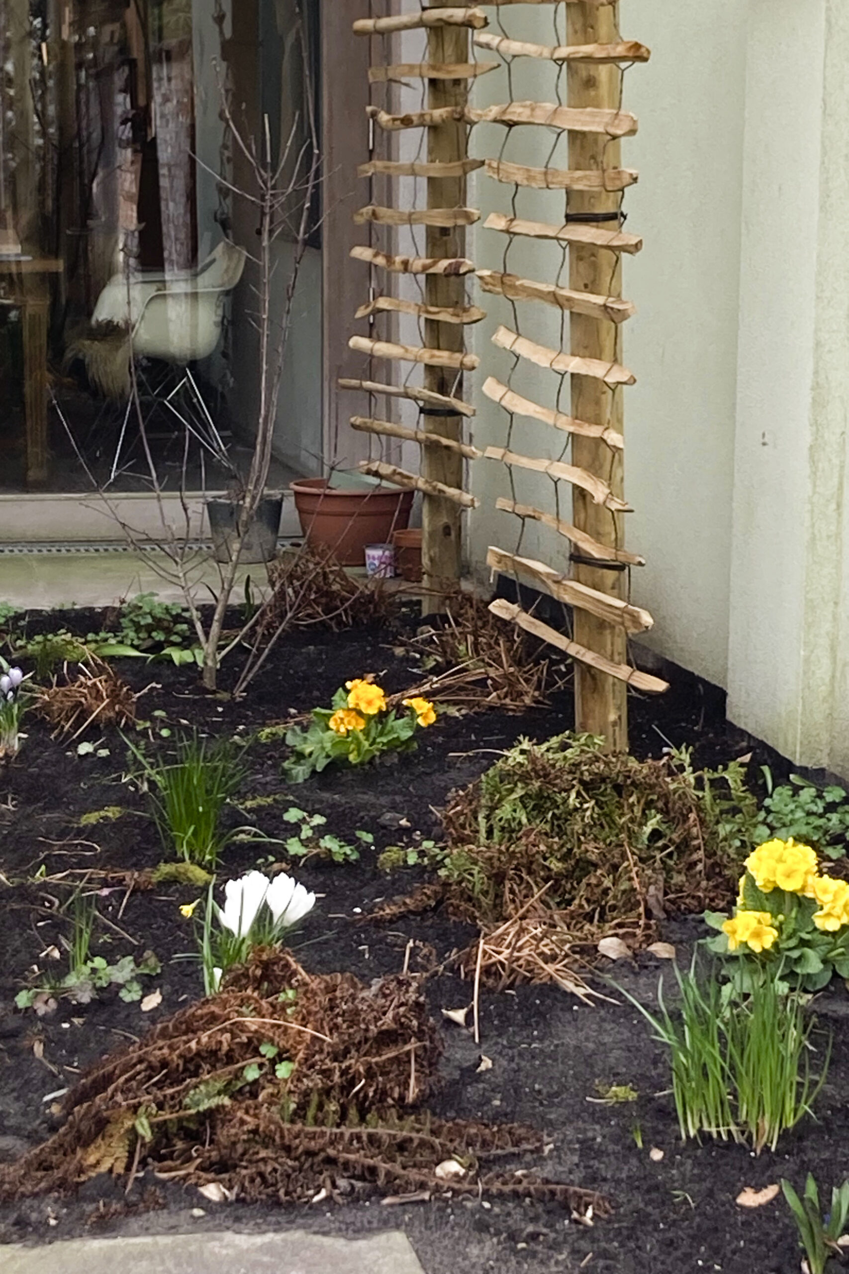 Lievehelp tuinontwerp – Biodiverse, wilde stadstuin te Berchem Lievehelp tuinontwerp - Biodiverse, wilde stadstuin te Berchem