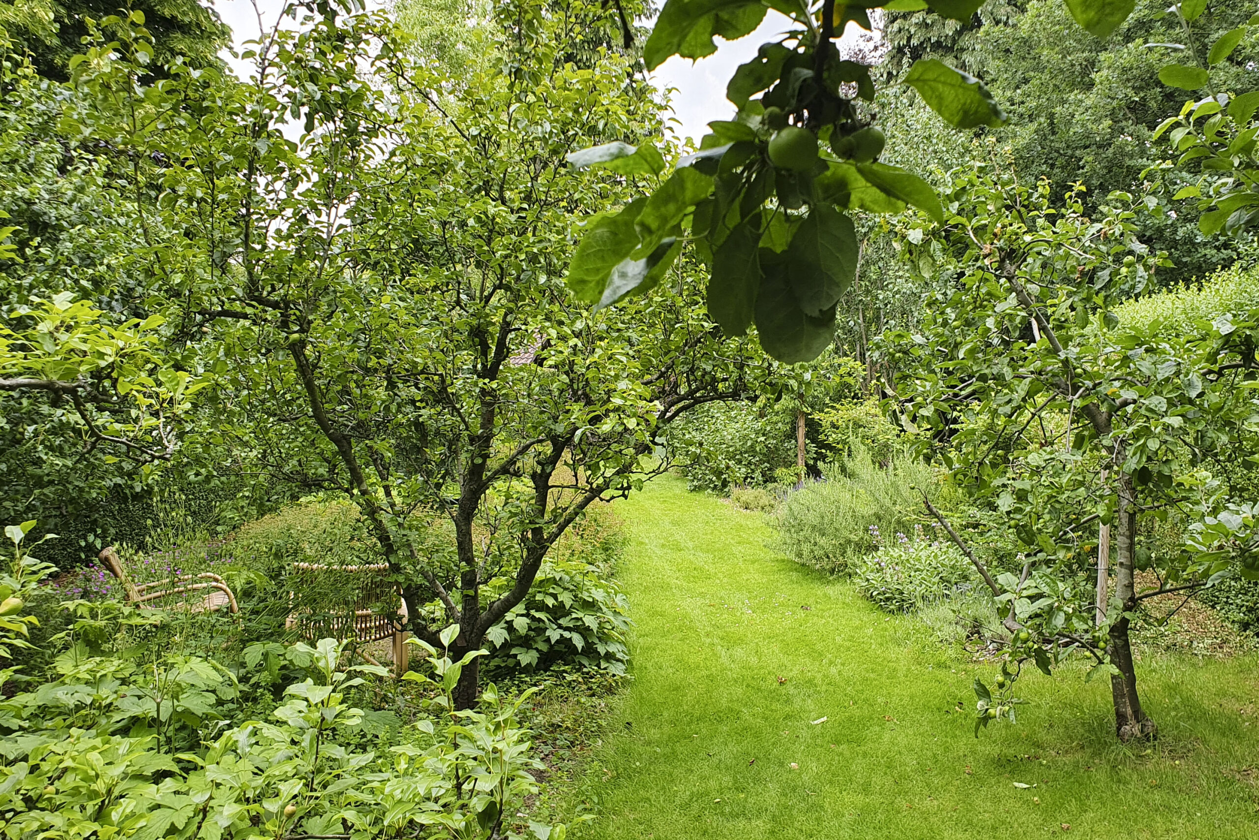 Lievehelp tuinontwerp – Biodiverse kruidentuin, wadi en bloemenweide Wilrijk Lievehelp tuinontwerp - Biodiverse kruidentuin, wadi en bloemenweide Wilrijk