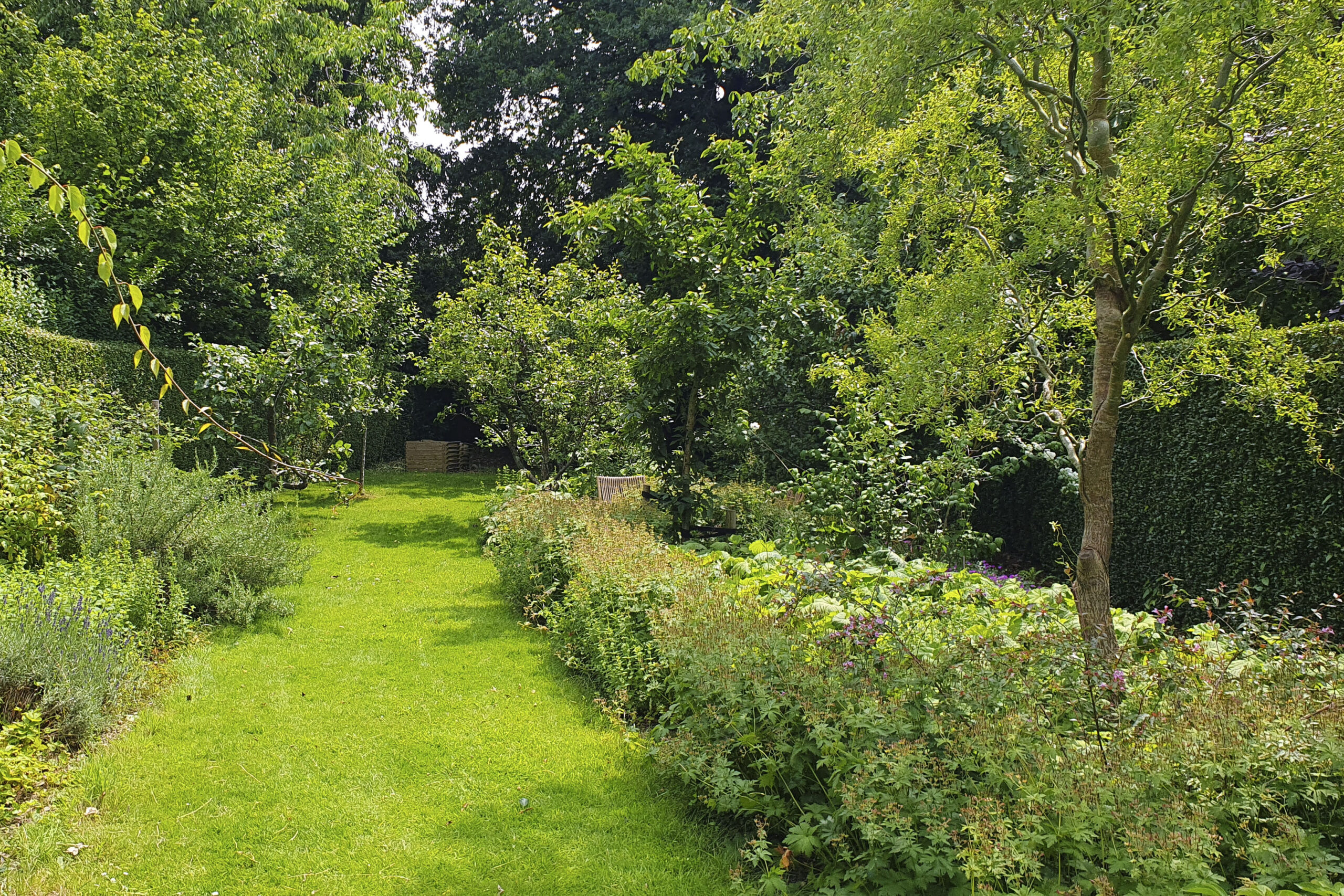 Lievehelp tuinontwerp – Biodiverse kruidentuin, wadi en bloemenweide Wilrijk Lievehelp tuinontwerp - Biodiverse kruidentuin, wadi en bloemenweide Wilrijk