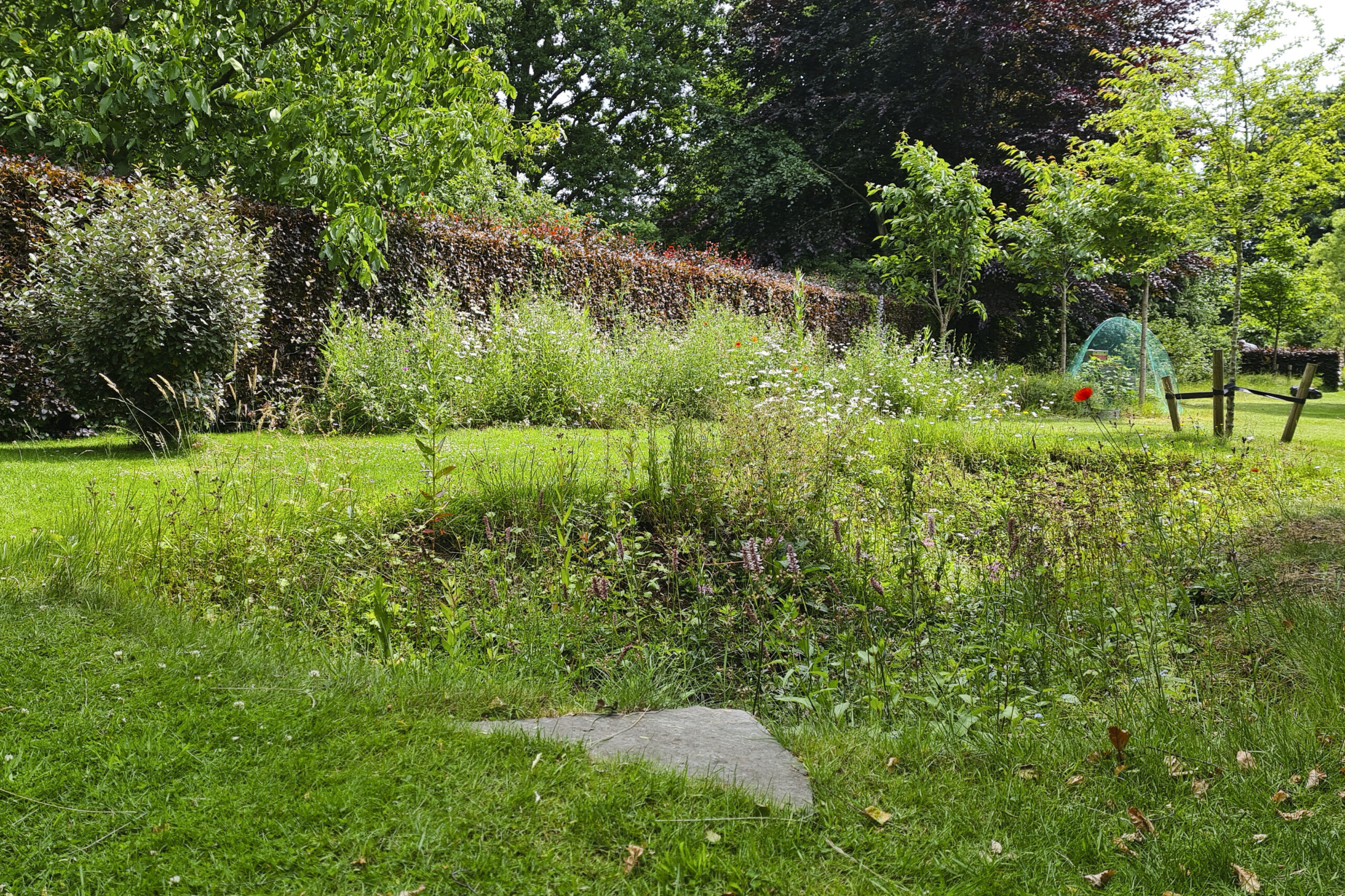 Lievehelp tuinontwerp – Biodiverse kruidentuin, wadi en bloemenweide Wilrijk Lievehelp tuinontwerp - Biodiverse kruidentuin, wadi en bloemenweide Wilrijk