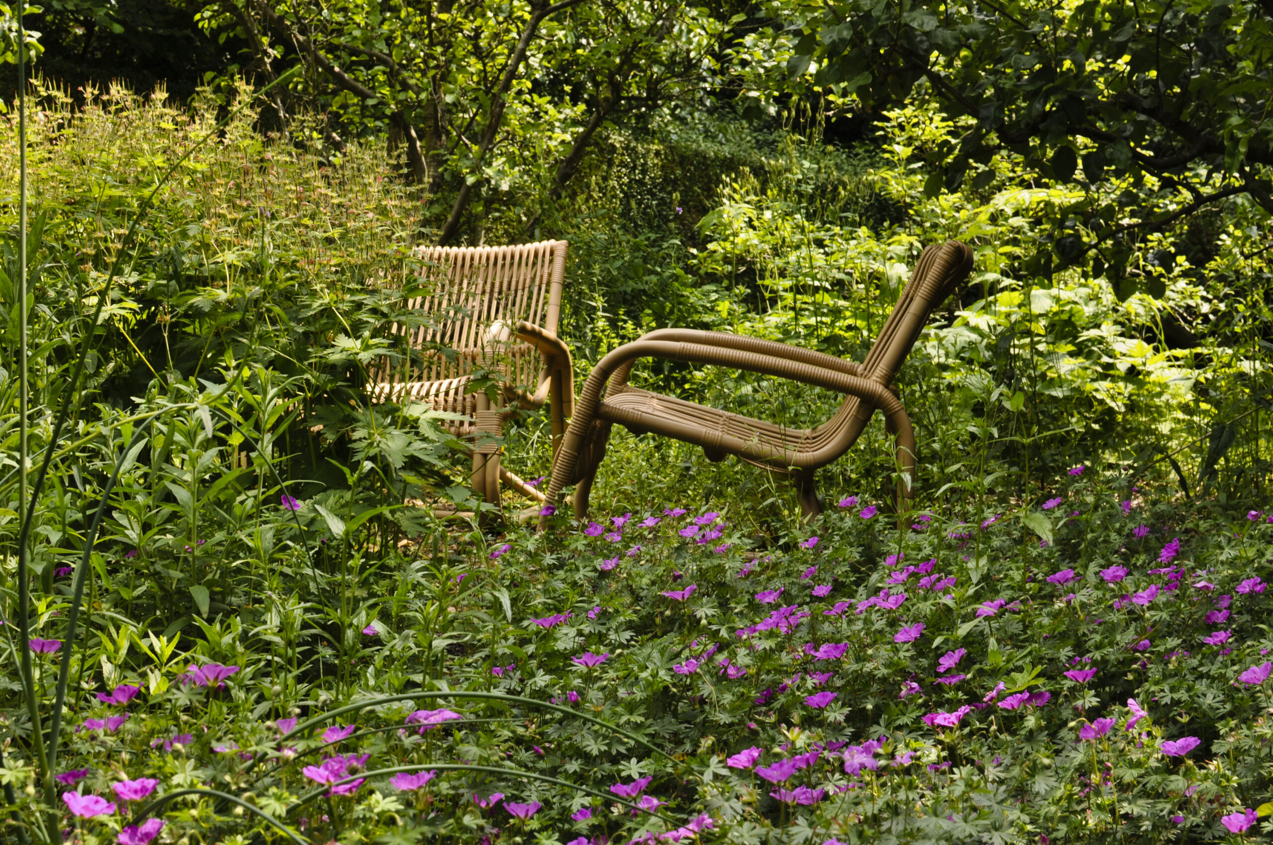 Lievehelp tuinontwerp - Biodiverse kruidentuin, wadi en bloemenweide Wilrijk