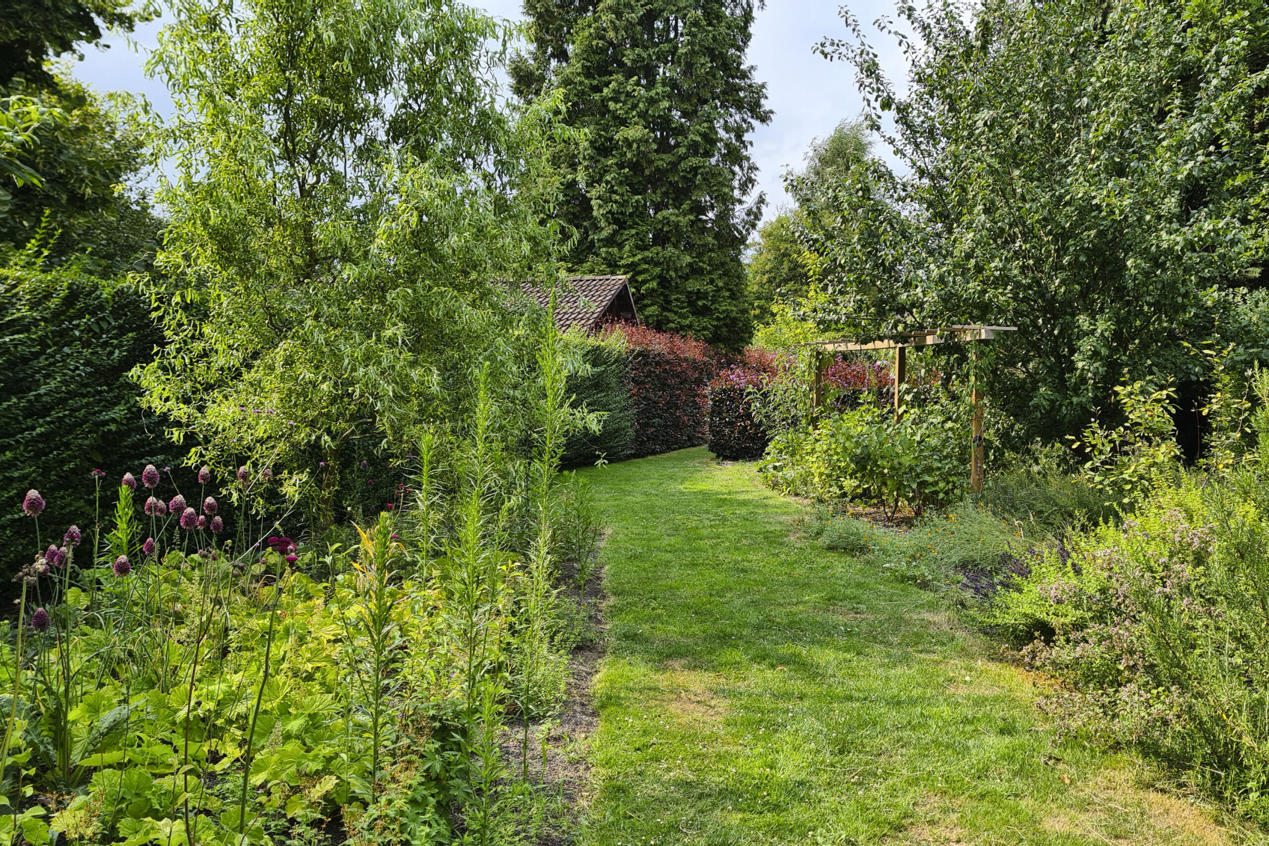 Lievehelp tuinontwerp – Biodiverse kruidentuin, wadi en bloemenweide Wilrijk Lievehelp tuinontwerp - Biodiverse kruidentuin, wadi en bloemenweide Wilrijk