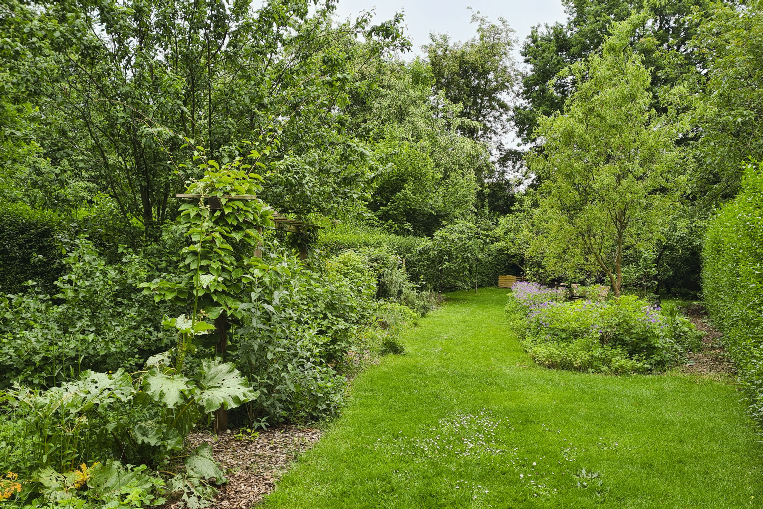Lievehelp tuinontwerp – Biodiverse kruidentuin, wadi en bloemenweide Wilrijk Lievehelp tuinontwerp - Biodiverse kruidentuin, wadi en bloemenweide Wilrijk
