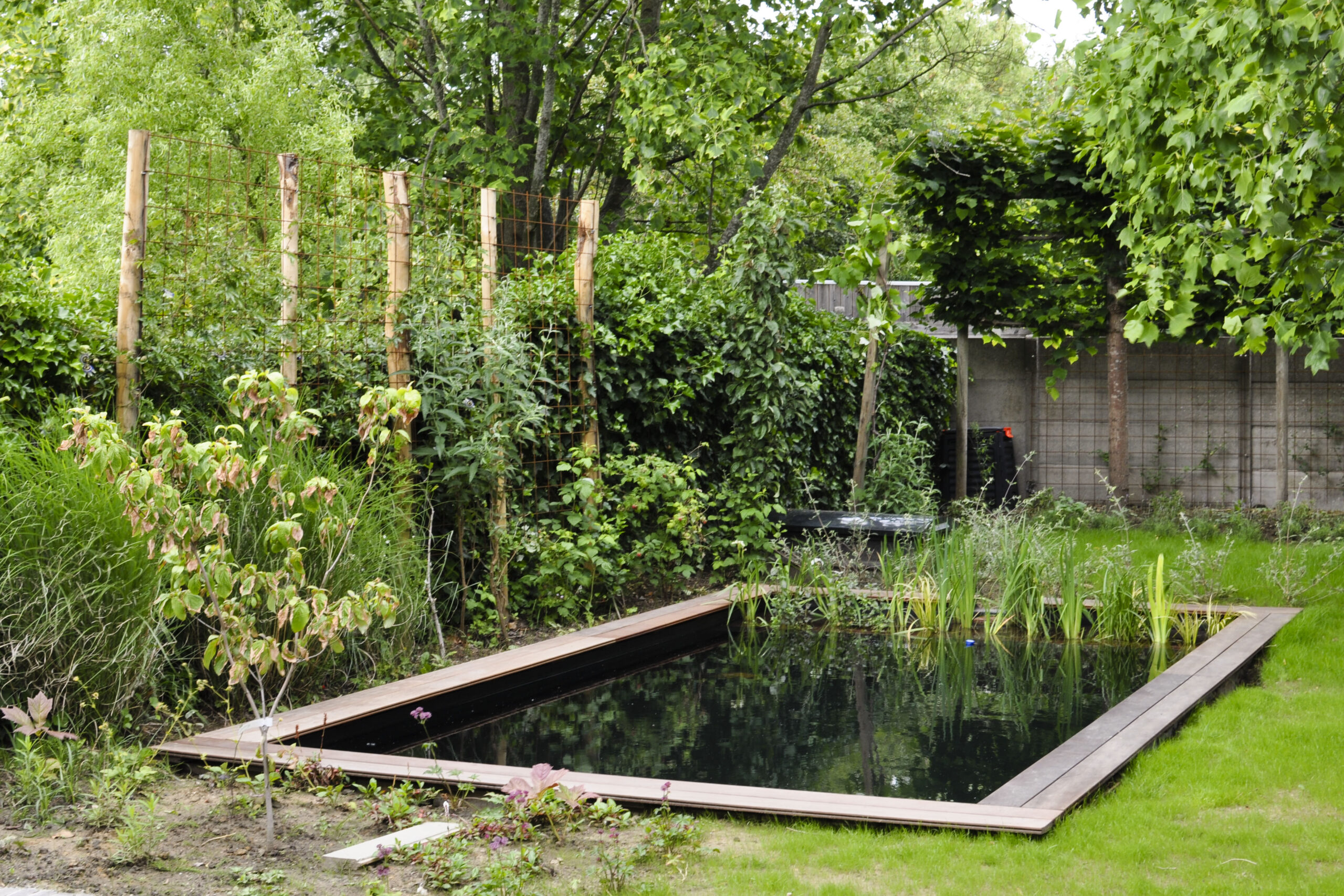 Lievehelp tuinontwerp - gezinstuin met zwemvijver te Mortsel