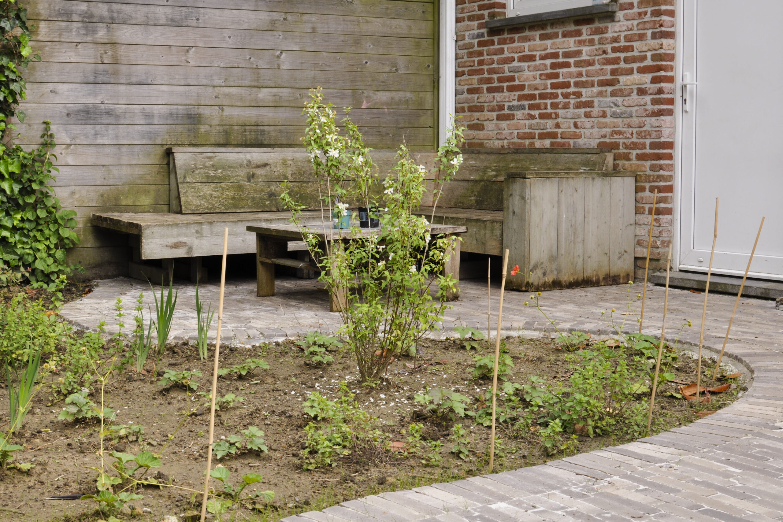 Lievehelp tuinontwerp – gezinstuin met zwemvijver te Mortsel Lievehelp tuinontwerp - gezinstuin met zwemvijver te Mortsel
