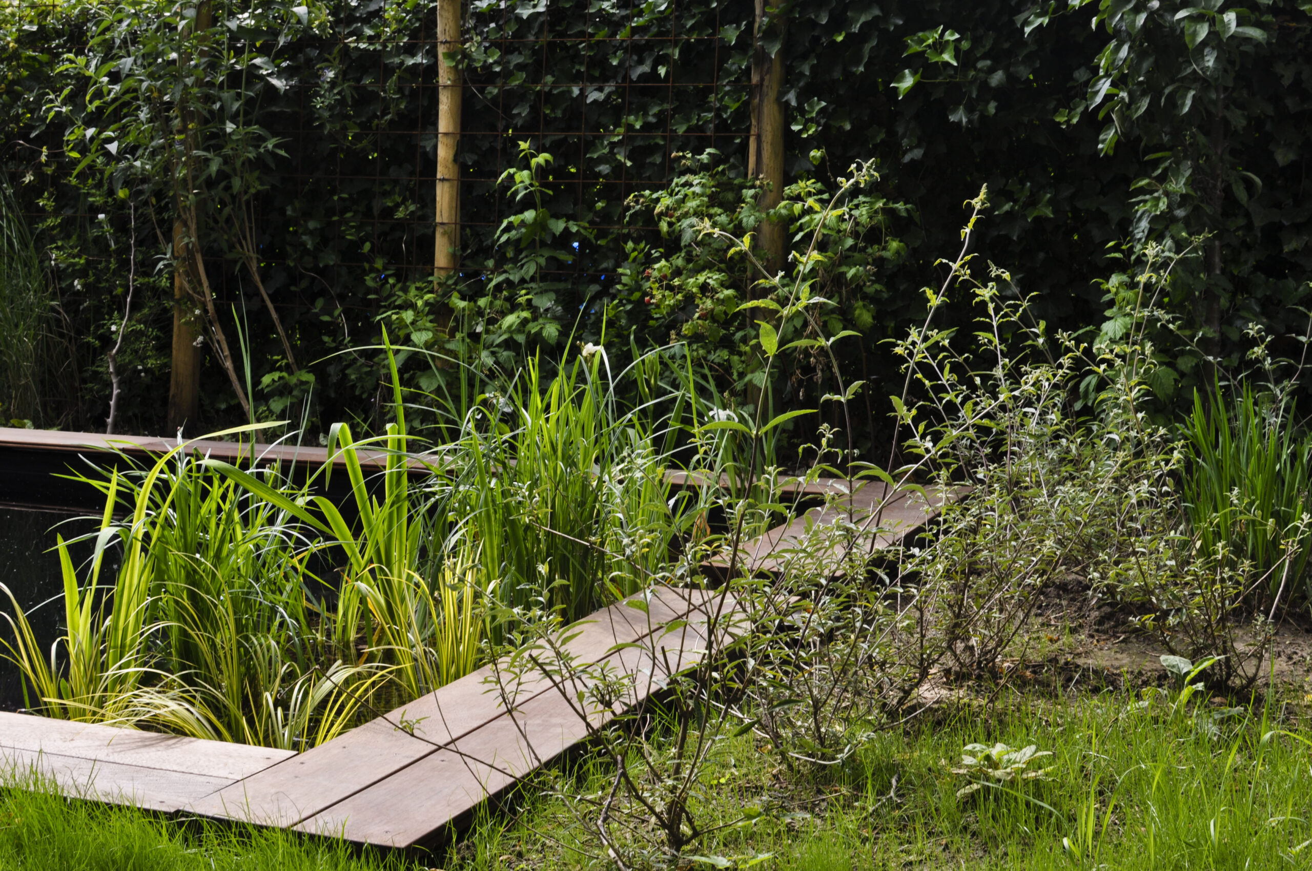 Lievehelp tuinontwerp – gezinstuin met zwemvijver te Mortsel Lievehelp tuinontwerp - gezinstuin met zwemvijver te Mortsel