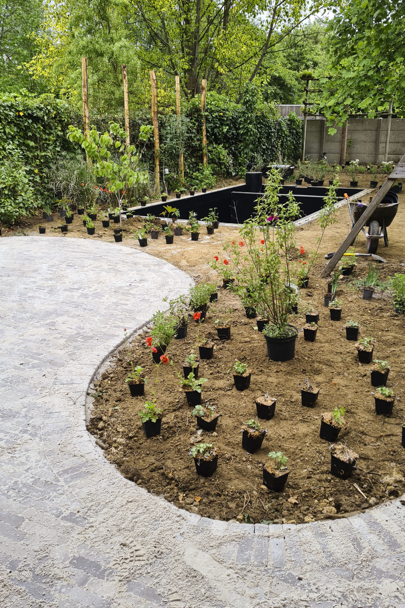 Lievehelp tuinontwerp – gezinstuin met zwemvijver te Mortsel Lievehelp tuinontwerp - gezinstuin met zwemvijver te Mortsel