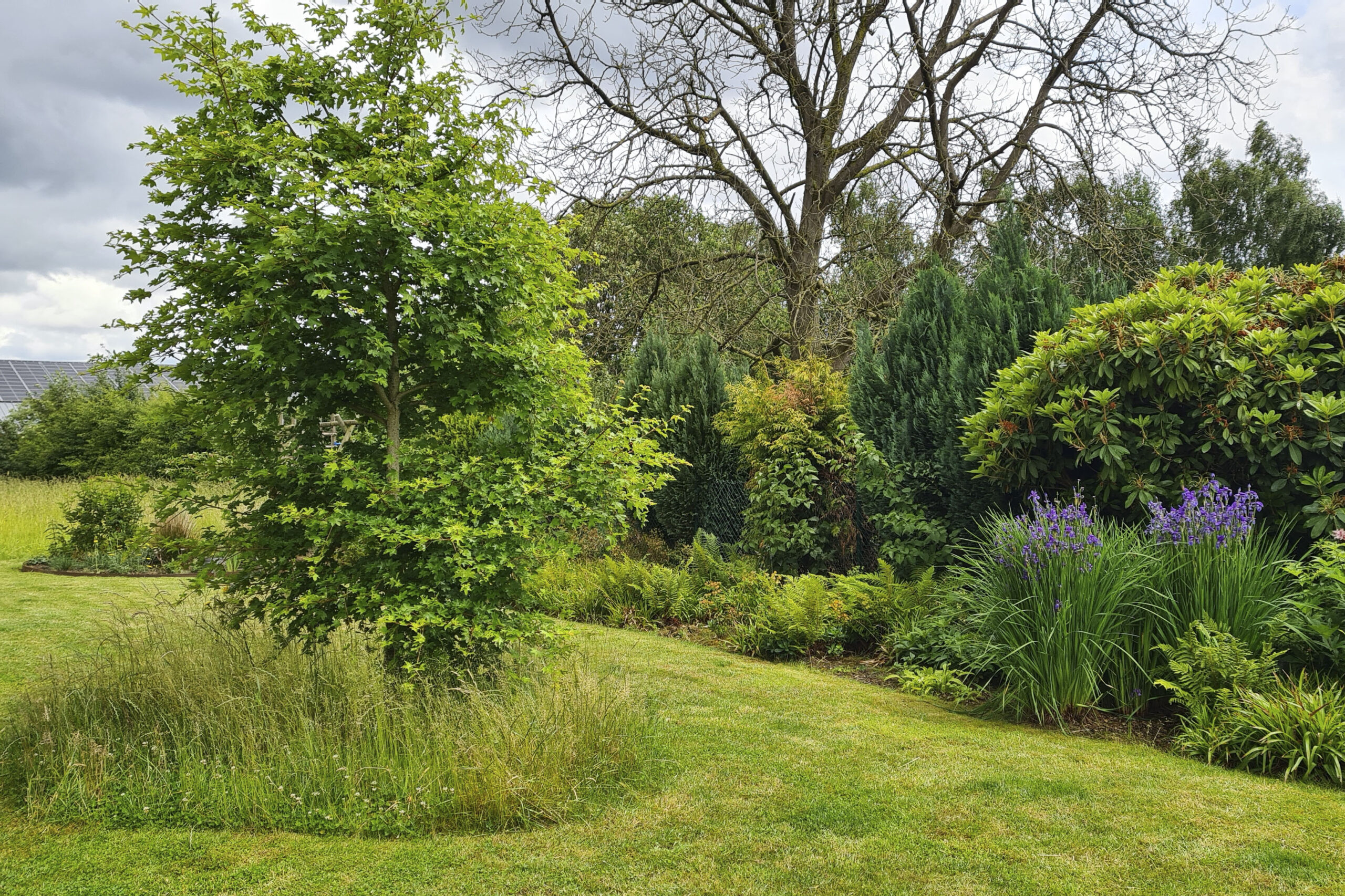Lievehelp tuinontwerp - Landelijke tuin met vaste planten borders Wemmel